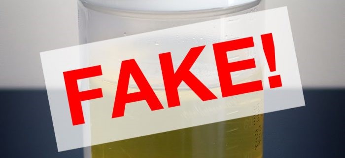 Synthetic Urine Amazon Fords Edison NJ